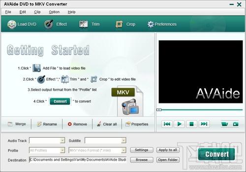 AVAide DVD To MKV Converter,DVD转MKV,AVAide DVD To MKV Converter下载,AVAide DVD To